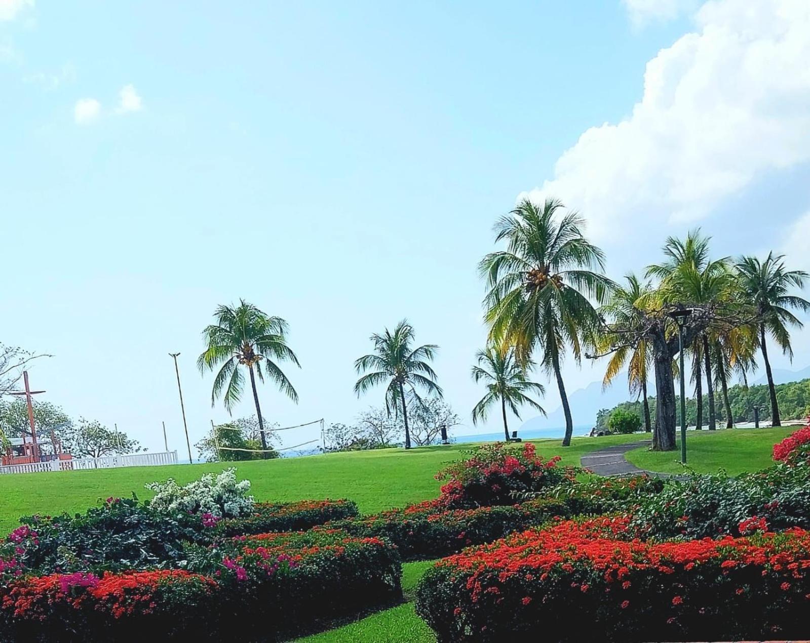Residence Au Coeur Des Iles Martinique 23 แซ็งต์-ลูซ ภายนอก รูปภาพ