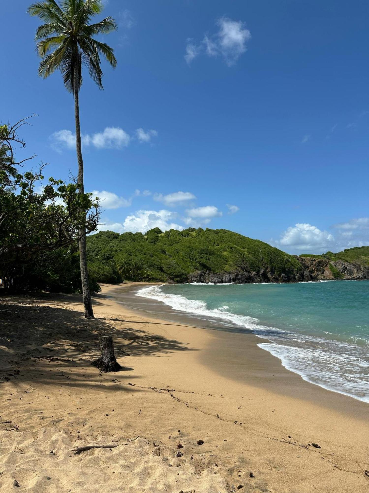 Residence Au Coeur Des Iles Martinique 23 แซ็งต์-ลูซ ภายนอก รูปภาพ